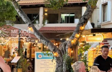 Dolphin View Studios in Puerto Aventuras, 2 Turnkey Airbnb Studios