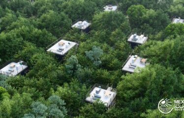 Off-Grid Jungle Villa in Chemuyil – Tree60 Near Tulum