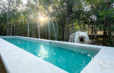 Off-Grid Jungle Villa in Chemuyil – Tree60 Near Tulum