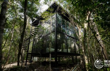 Off-Grid Jungle Villa in Chemuyil – Tree60 Near Tulum