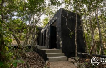 Off-Grid Jungle Villa in Chemuyil – Tree60 Near Tulum